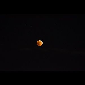 Meet your Posher, Daisy